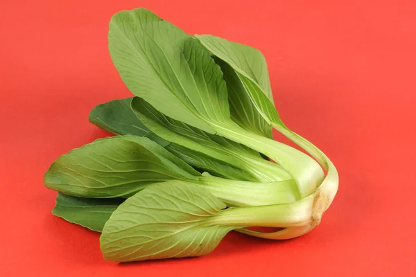 Green Pok Choi — Stock Photo, Image