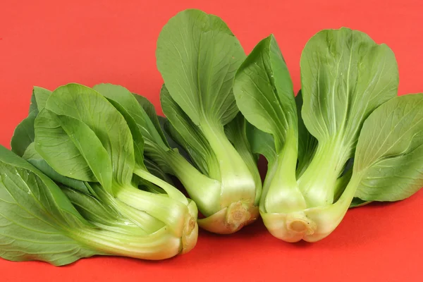 Pok choi csokrok — Stock Fotó