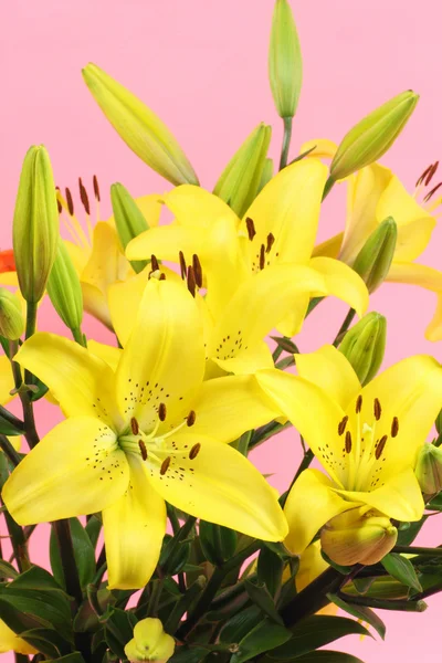 Lilies bouquet — Stock Photo, Image
