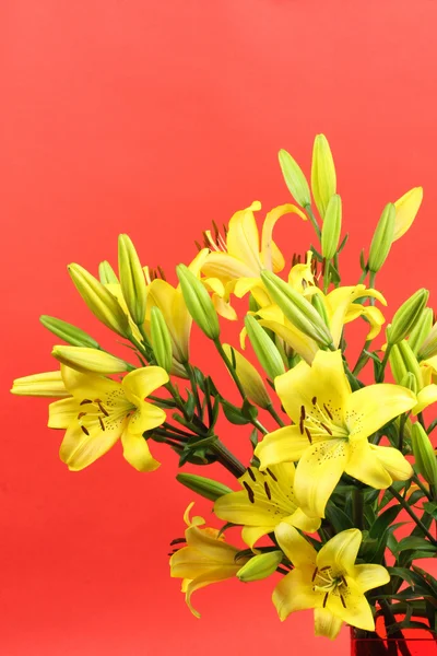 Lelies boeket — Stockfoto