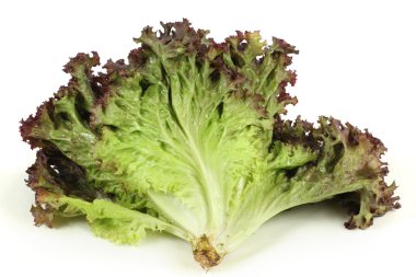 marul yaprakları