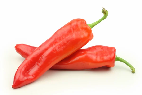 Chilli papričky — Stock fotografie