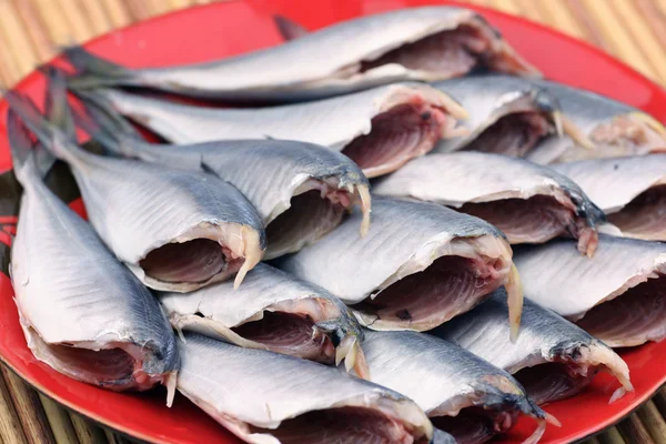 Dish of fishes — Stock Photo, Image