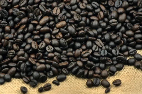 Coffee beans — Stock Photo, Image