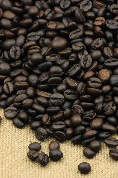 Coffee beans — Stock Photo, Image