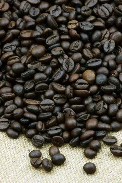 Coffee beans — Stock Photo, Image