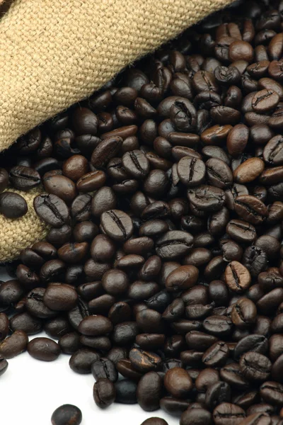 Coffee beans — Stock Photo, Image