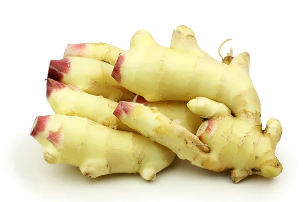 Fresh ginger — Stock Photo, Image