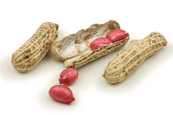 Dried peanuts — Stock Photo, Image