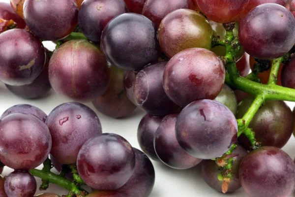 Вкусный виноград — стоковое фото