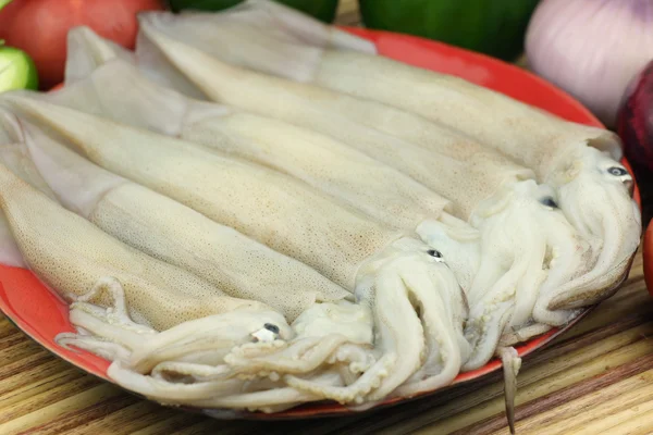 Fresh squids — Stock Image Fresh squids Royalty Free Stock Photos