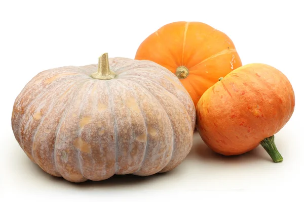 Calabazas anaranjadas — Foto de Stock