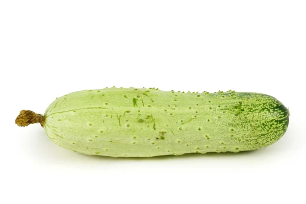 Green cucumber — Stock Photo, Image