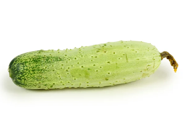 Cetriolo verde — Foto Stock