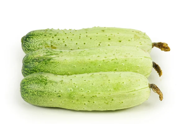 Yeşil salatalık — Stok fotoğraf