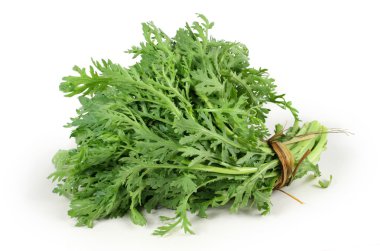 sonchus demet
