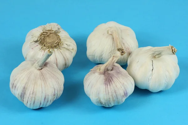 Garlic set — Stock Photo, Image