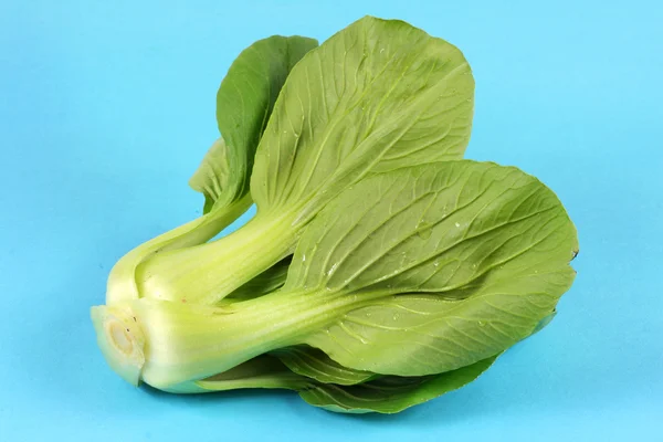 Green Pok Choi — Stock Photo, Image