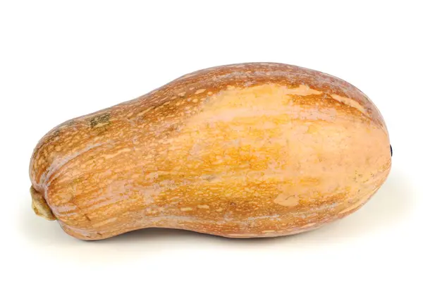 Zucca fresca — Foto Stock