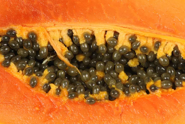 Soczysta papaja — Zdjęcie stockowe