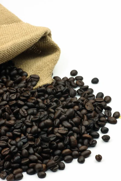 Coffee beans — Stock Photo, Image