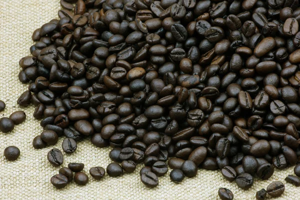 Coffee beans — Stock Photo, Image