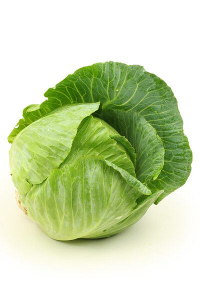 Green cabbage