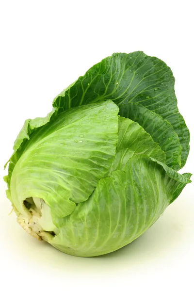 Green cabbage — Stock Photo, Image