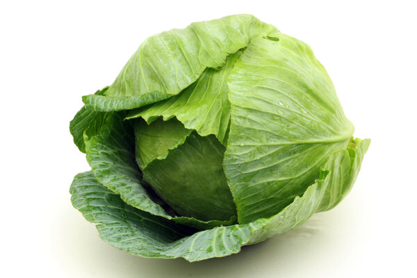 Green cabbage