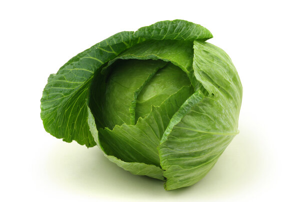 Green cabbage