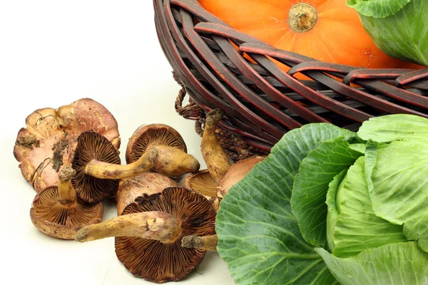 Boletus vicino cesto — Foto Stock