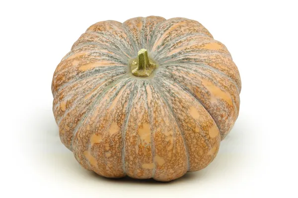 Calabaza naranja — Foto de Stock