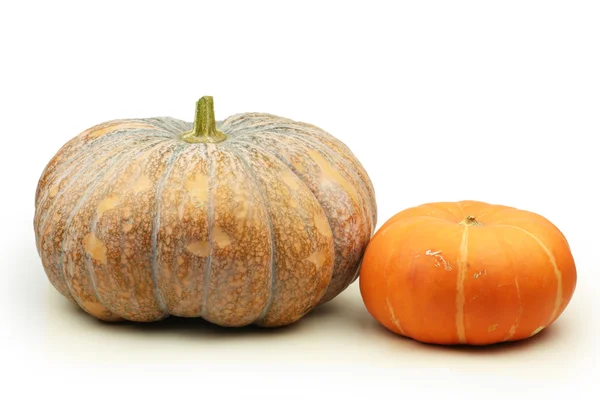 Calabazas anaranjadas — Foto de Stock