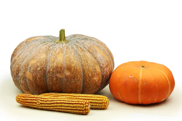 Orange pumpkins — Stock Photo, Image