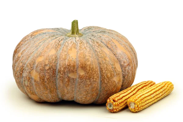 Calabaza wut maíz — Foto de Stock