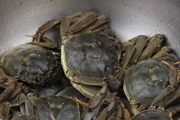 Black Crabs — Stock Photo, Image