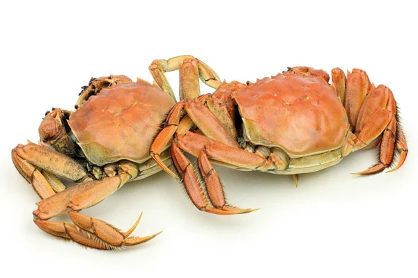 Cooked crabs — Stock Photo, Image