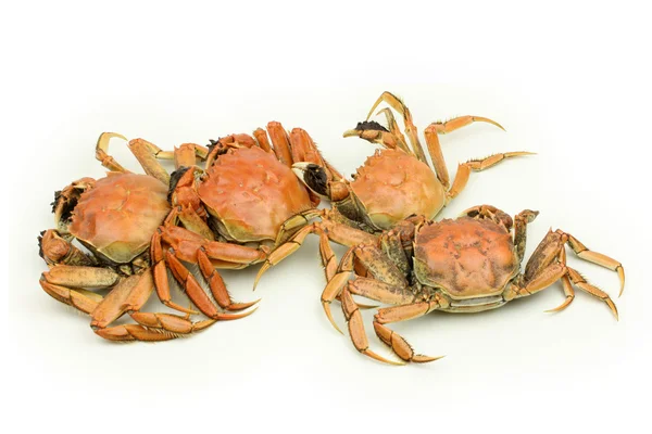 Tas de crabes — Photo