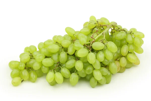 Łodygi winogron — Zdjęcie stockowe