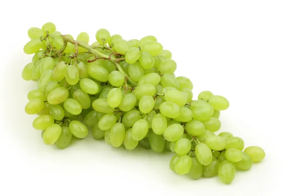 Stem of grapes — Stock Photo, Image