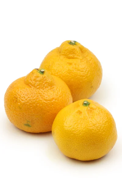Čerstvé pomeranče — Stock fotografie