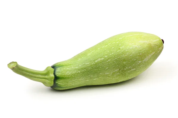 Grön zucchini — Stockfoto