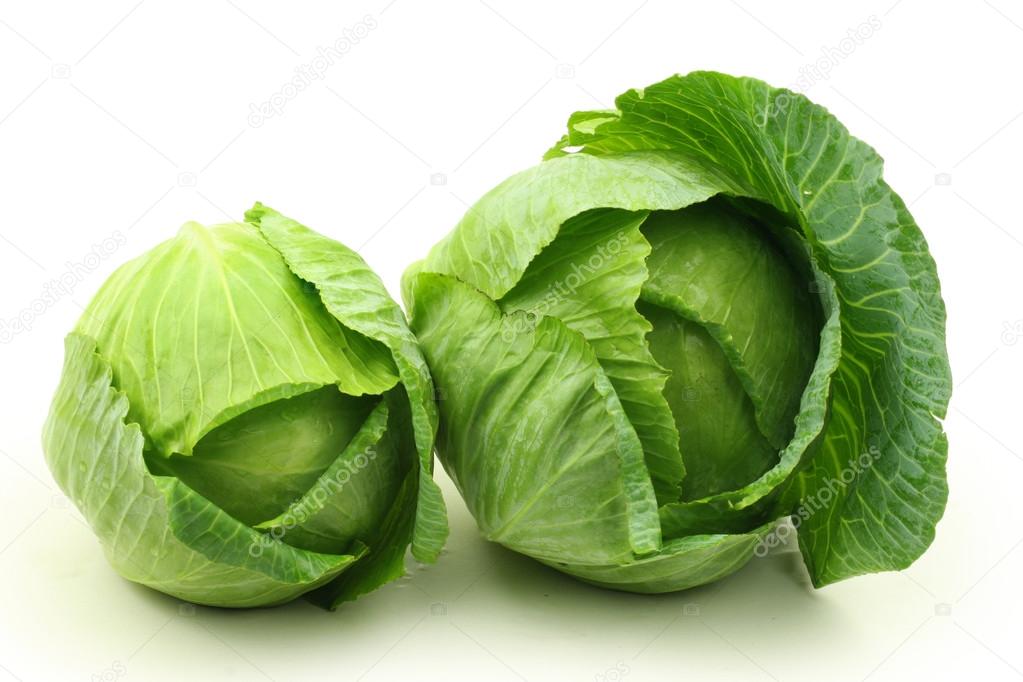 Young cabbages