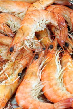 birçok haşlanmış karides