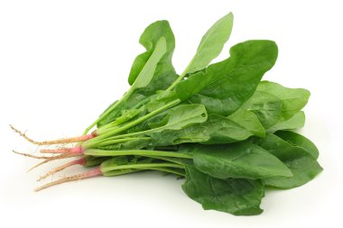 sağlıklı ıspanak