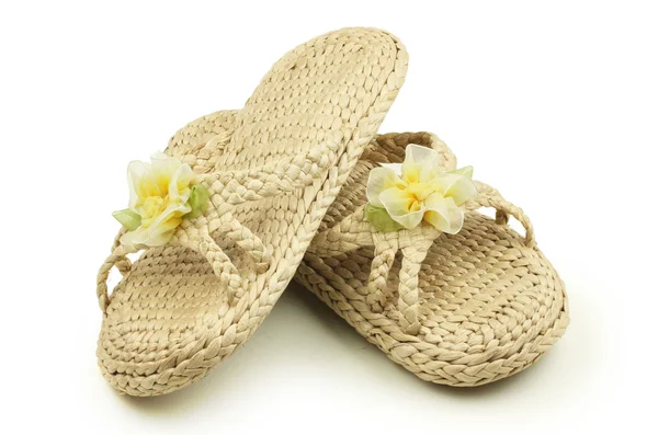 Pair of Slippers — Stock Photo, Image