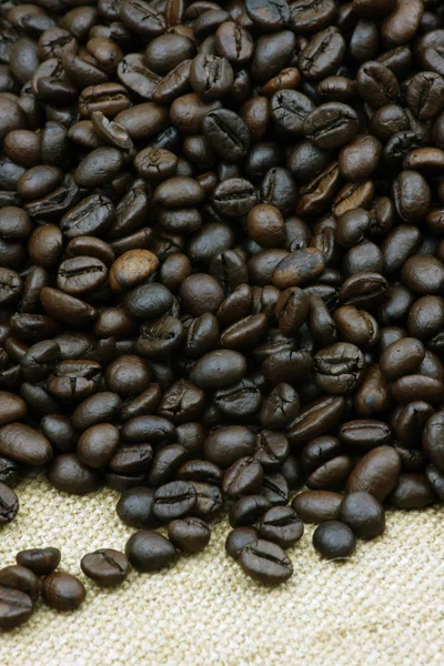 Coffee beans — Stock Photo, Image