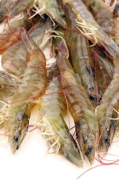 Tas de crevettes — Photo