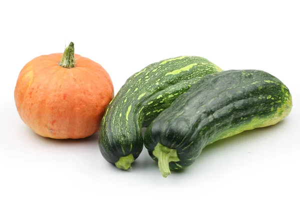 Various pumpkins — Stock Photo, Image