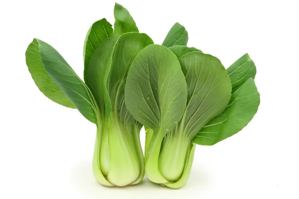 Pok choi bladeren — Stockfoto